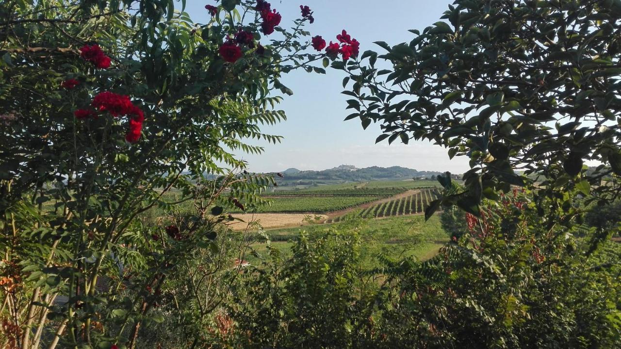 Agriturismo La Chiesina Abbadia di Montepulciano Exterior photo